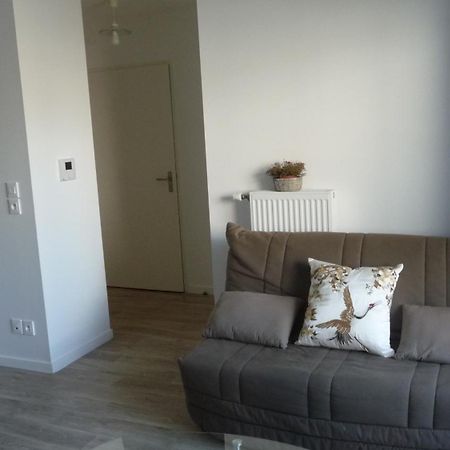 Pour Visiter Ou Travailler Dans Le Loiret Apartment Сан-Жан-дьо-Бре Екстериор снимка