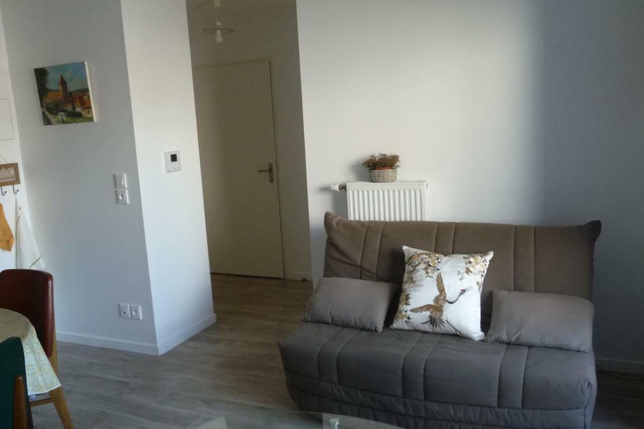 Pour Visiter Ou Travailler Dans Le Loiret Apartment Сан-Жан-дьо-Бре Екстериор снимка