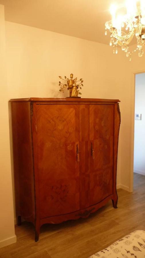 Pour Visiter Ou Travailler Dans Le Loiret Apartment Сан-Жан-дьо-Бре Екстериор снимка